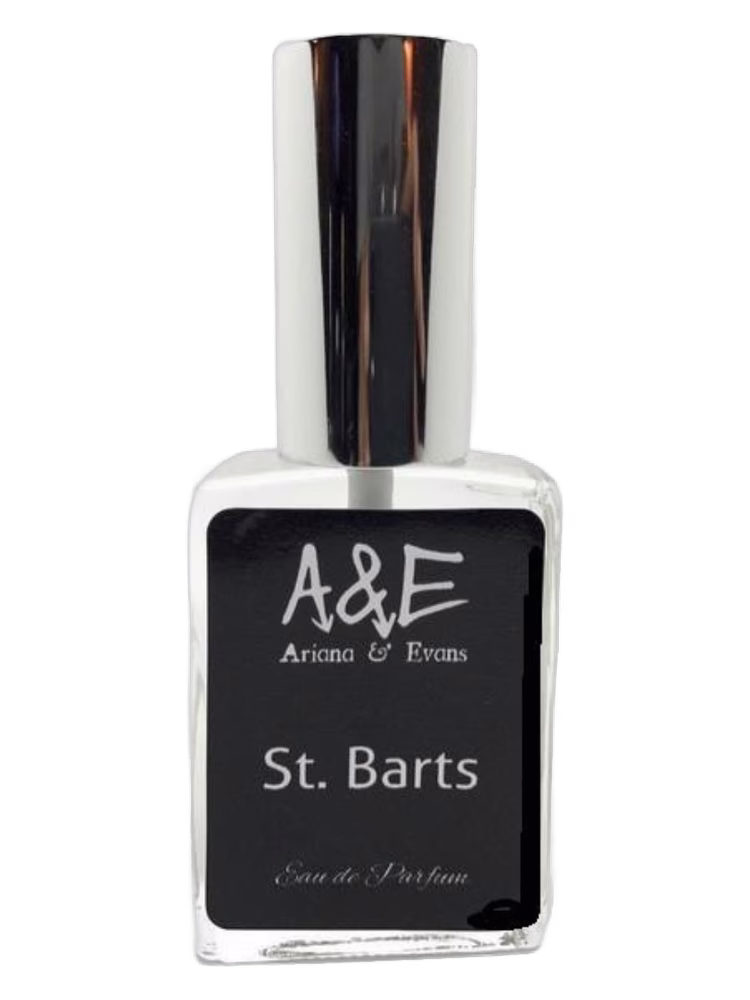 Ariana & Evans St. Barts