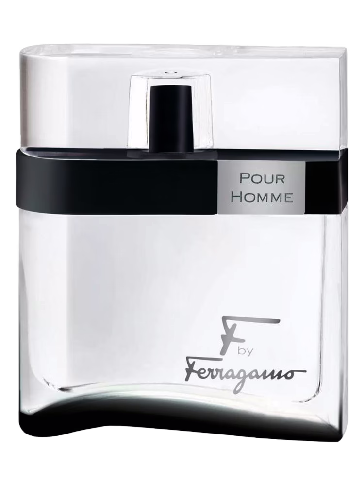 Salvatore Ferragamo F by Ferragamo Black