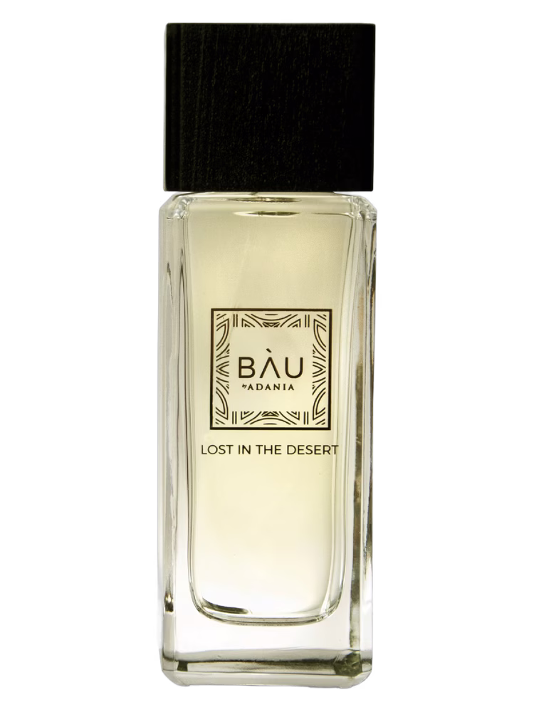 BAU Lost In The Desert