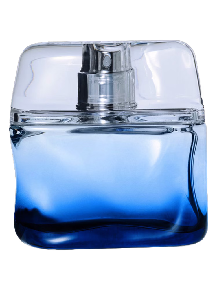 Nicole Farhi Bleu Intense