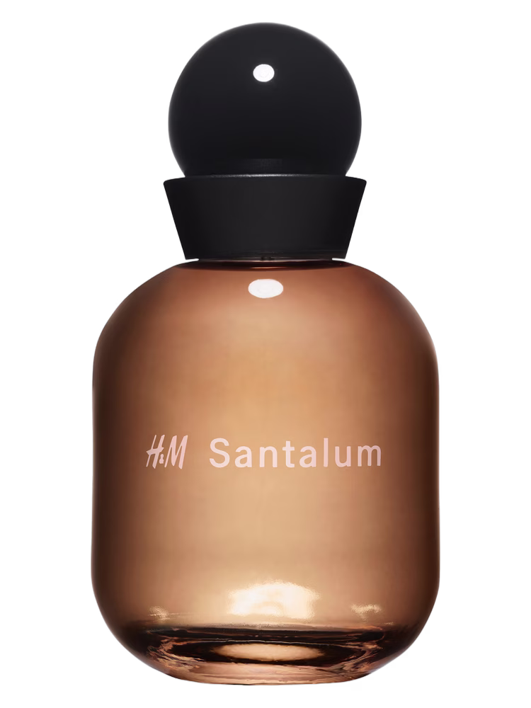 H&M H&M Santalum