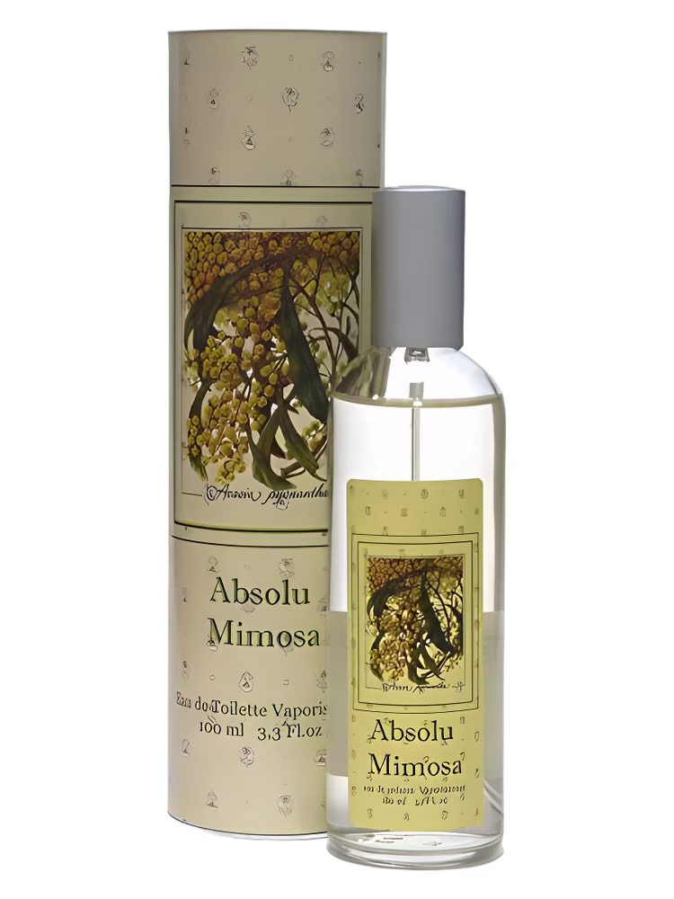 Provence & Nature Absolu Mimosa