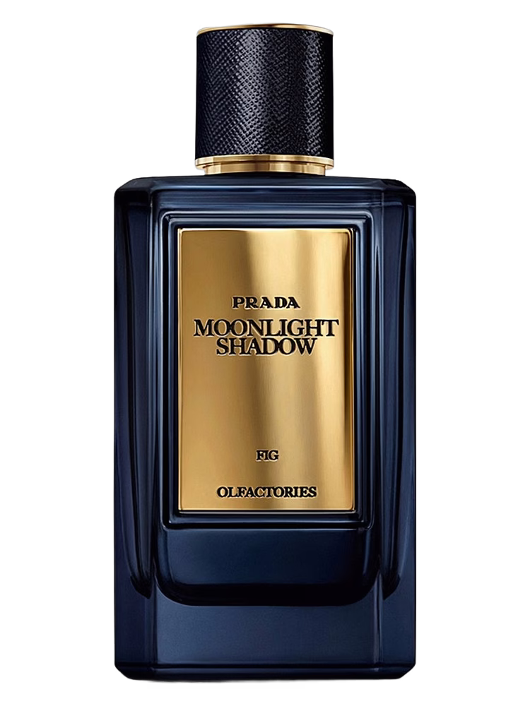 Prada Mirages Moonlight Shadow