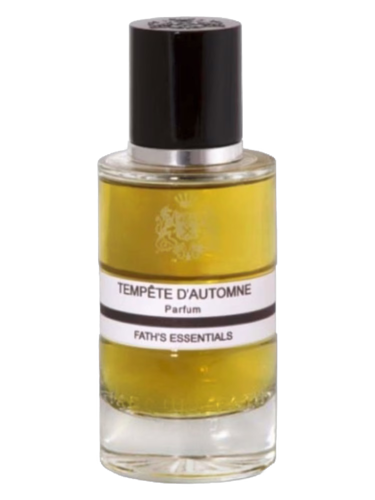 Jacques Fath Tempête d’Automne