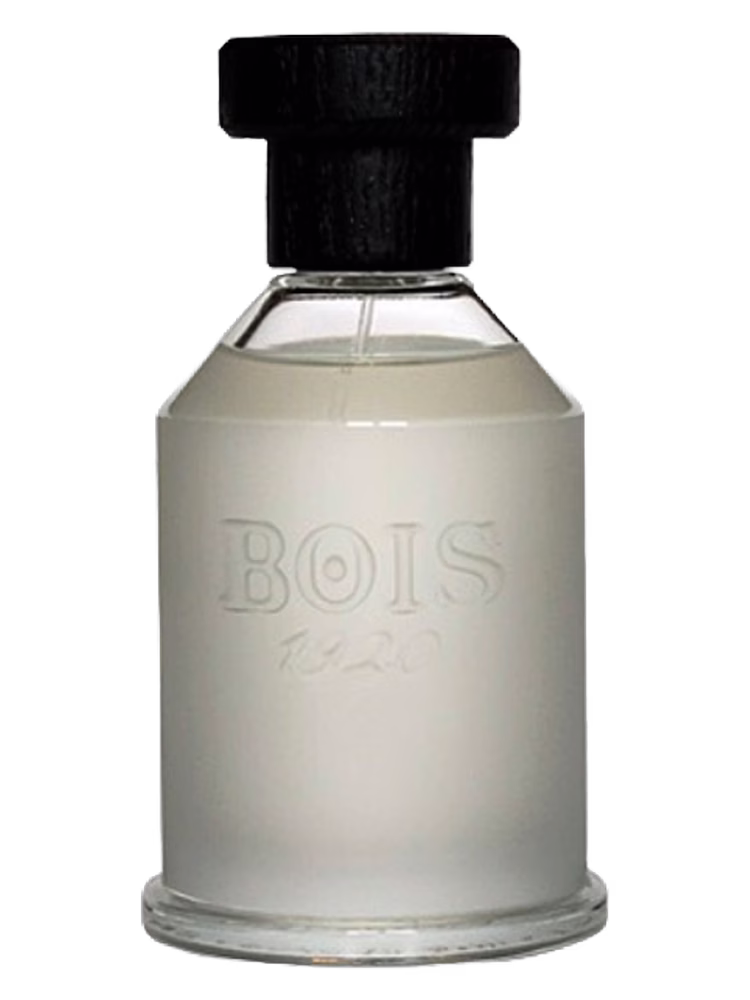 Bois 1920 Sopra Il Mare