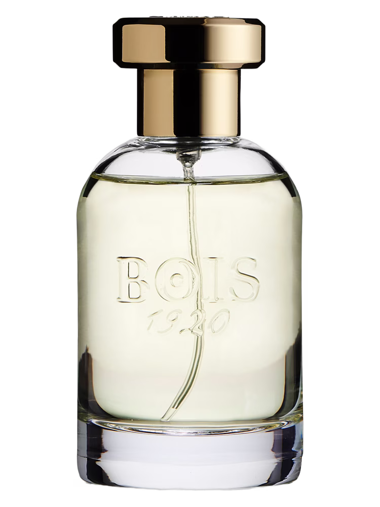 Bois 1920 Parana