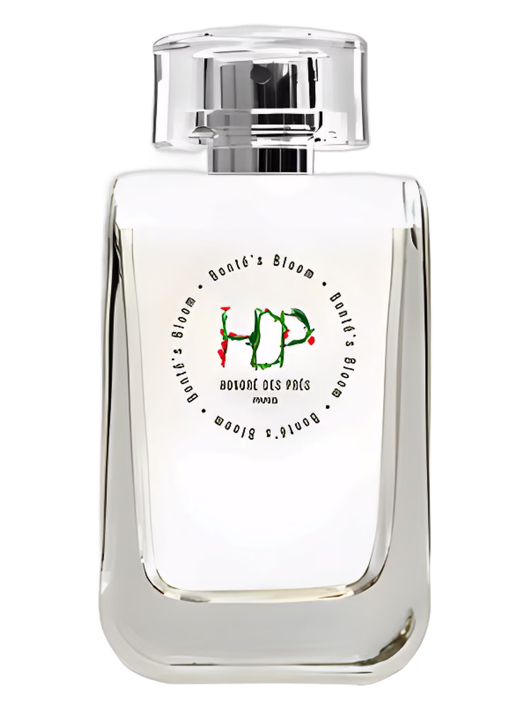 Honore des Pres Bonte's Bloom