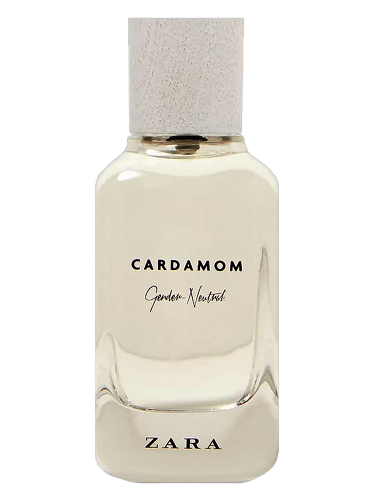 Zara Cardamom - Gender Neutral