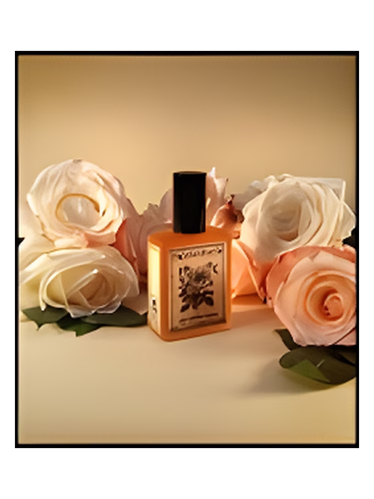 Solstice Scents Rose Mallow Cream