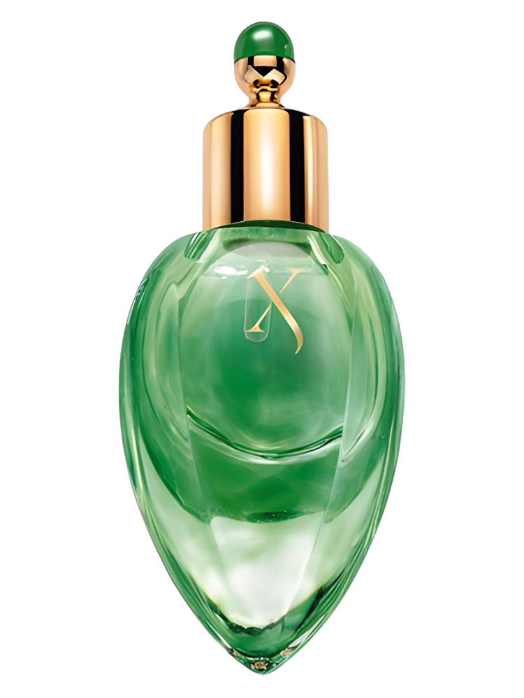 Xerjoff Irisss Perfume Extract