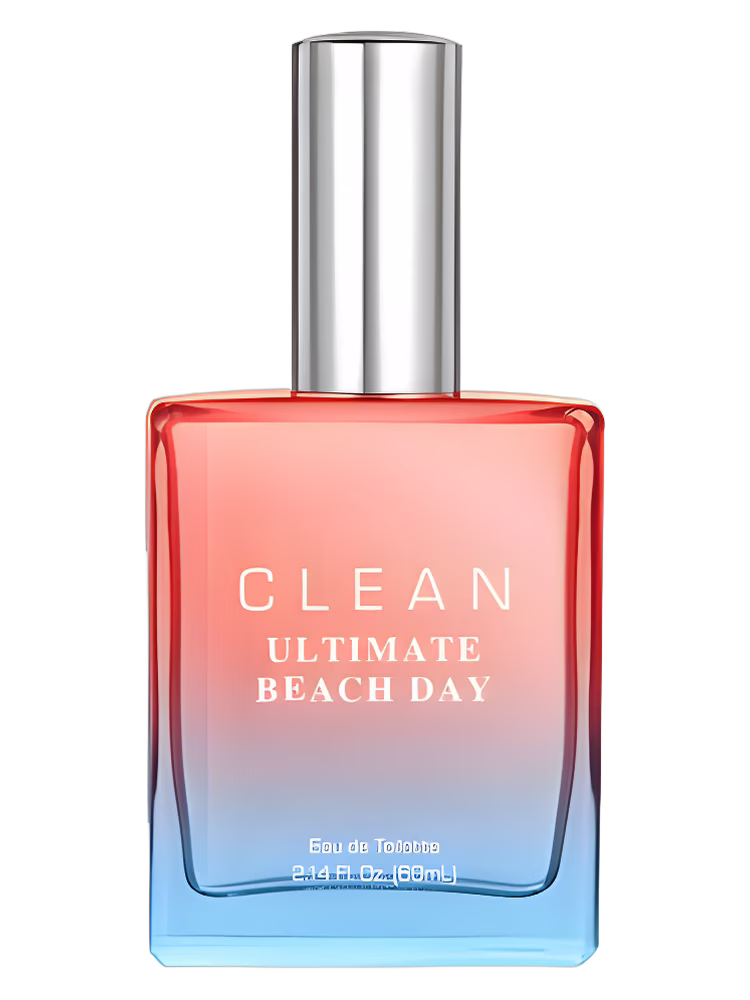 Clean Ultimate Beach Day
