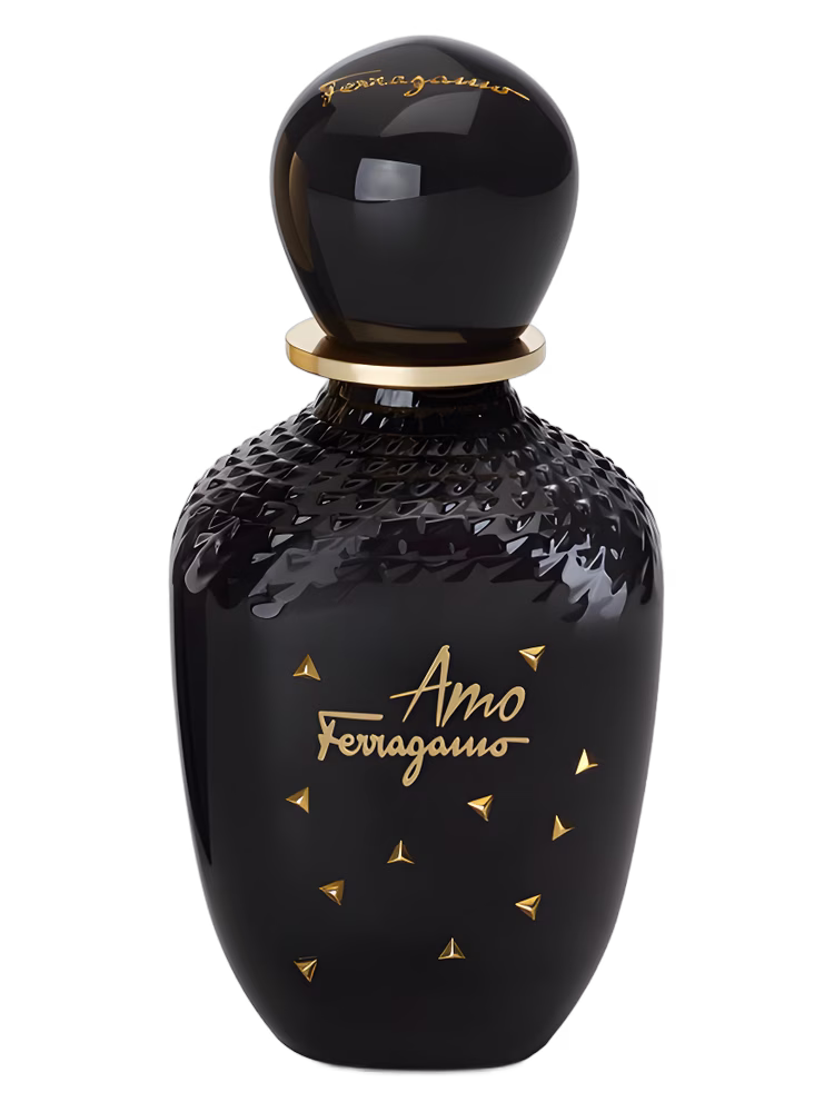 Salvatore Ferragamo Amo Ferragamo Limited Edition
