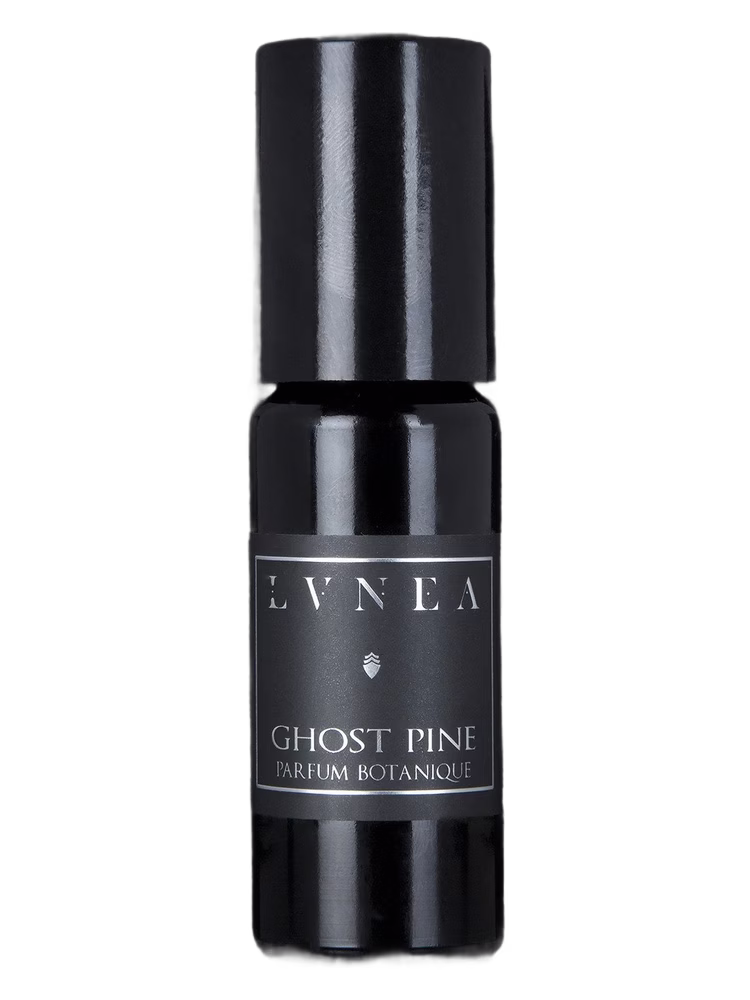 Lvnea Ghost Pine