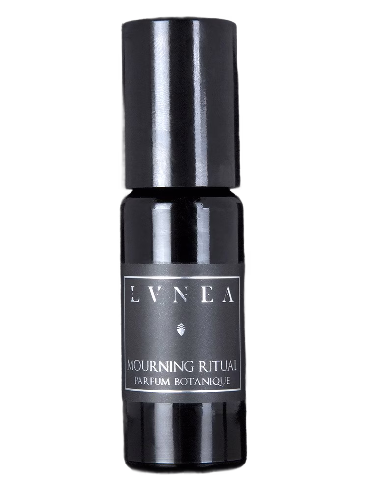 Lvnea Morning Ritual