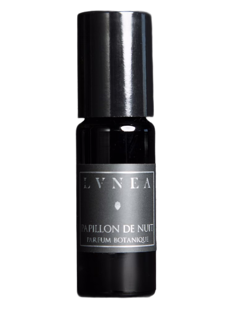 Lvnea Papillon de Nuit
