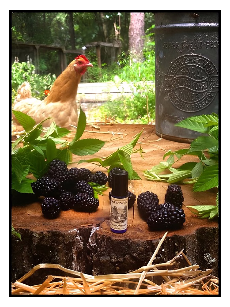Solstice Scents Blackburn Farmstead