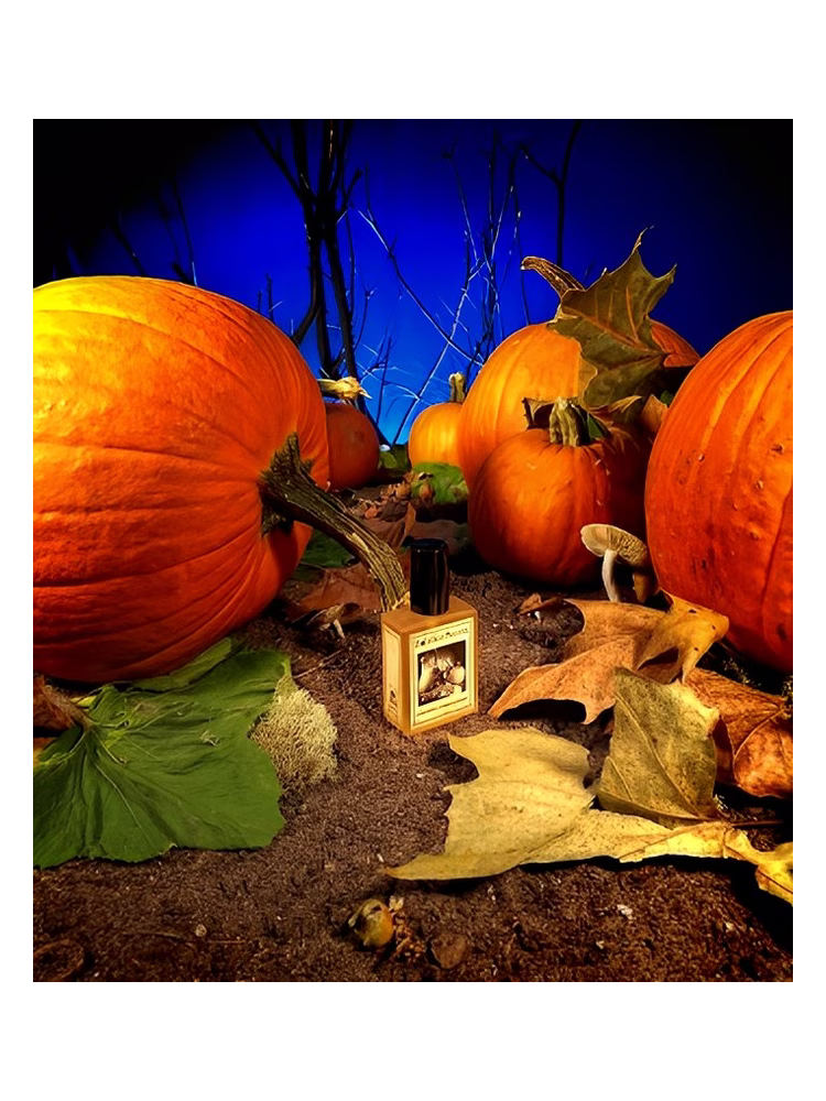 Solstice Scents Gunnerson's Pumpkin Patch