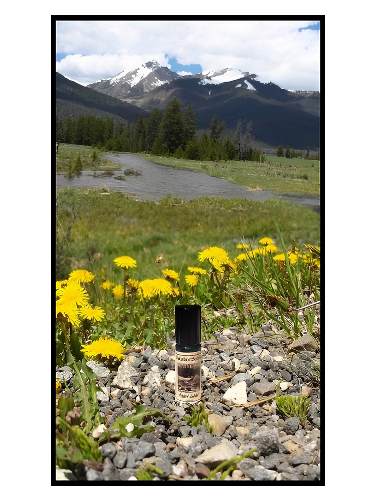 Solstice Scents Hidden Lodge