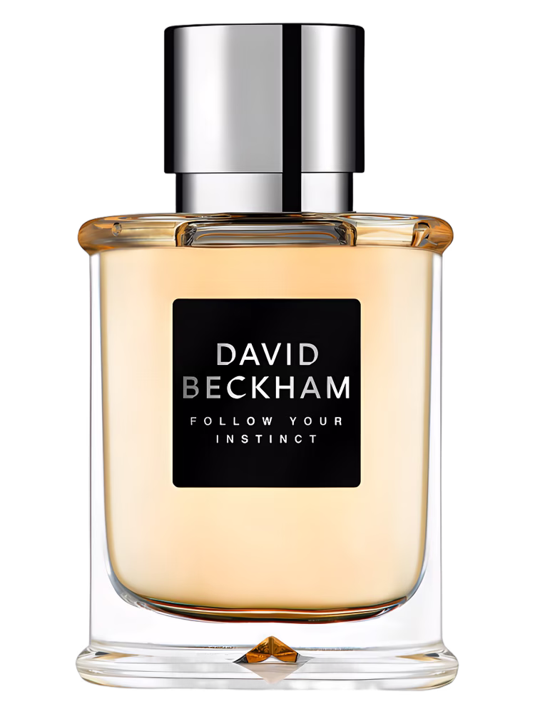 David Beckham Follow Your Instinct