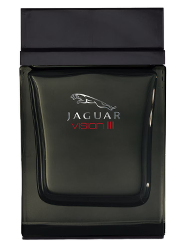 Jaguar Jaguar Vision III