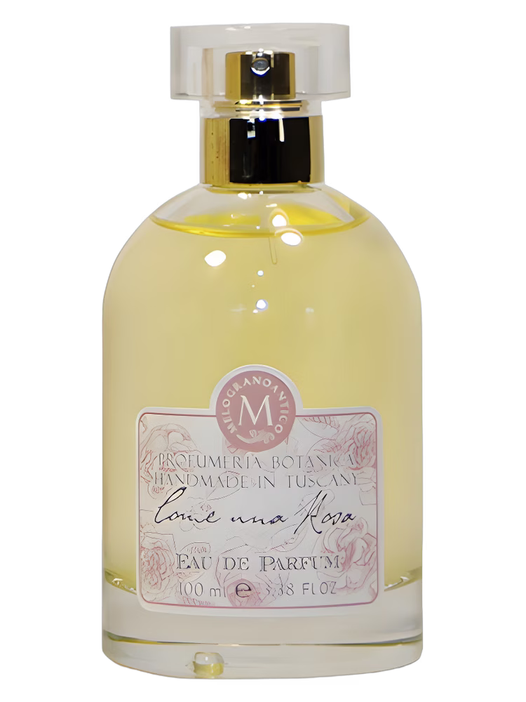 Melogranoantico Profumeria Botanica Come una Rosa