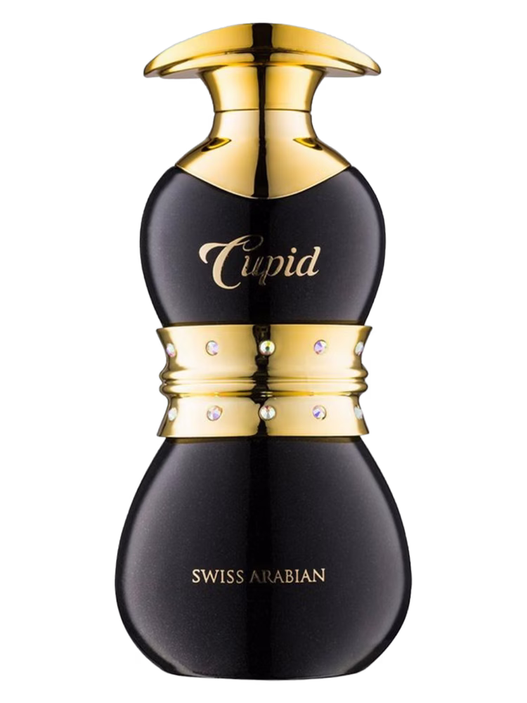 Swiss Arabian Cupid