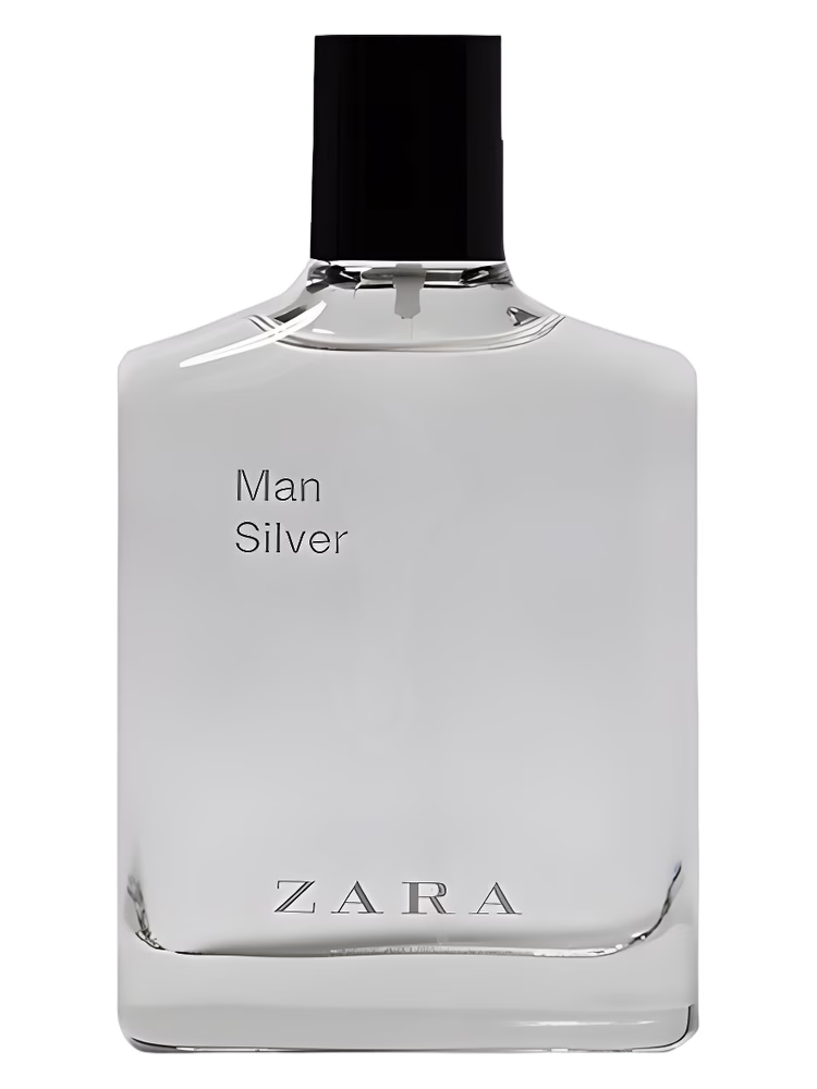 Zara Man Silver 2019
