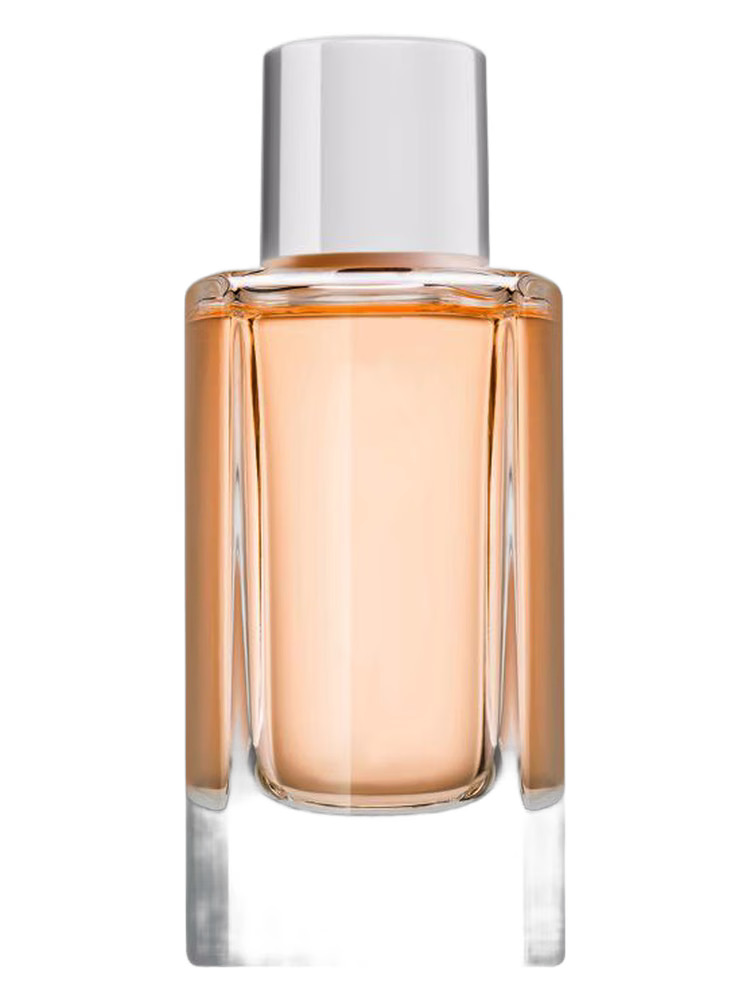 Jil Sander Sun Summer Edition