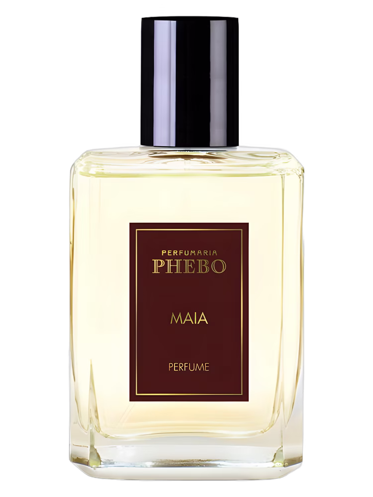 Phebo Maia