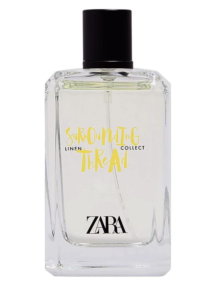 Zara Surrounding Thread