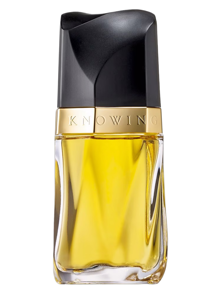 Estée Lauder Knowing