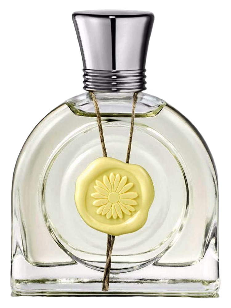 M. Micallef Fleur Lumière