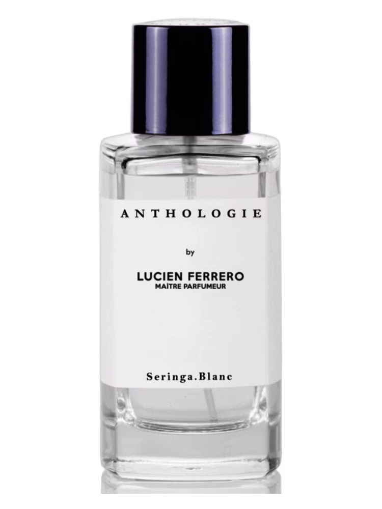 Anthologie Seringa Blanc