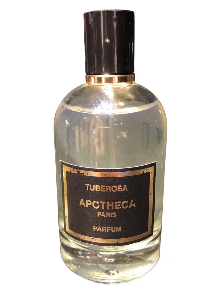 Apotheca Tuberosa