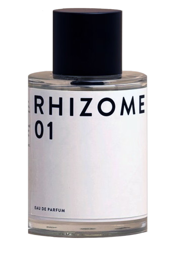 Rhizome Rhizome 01