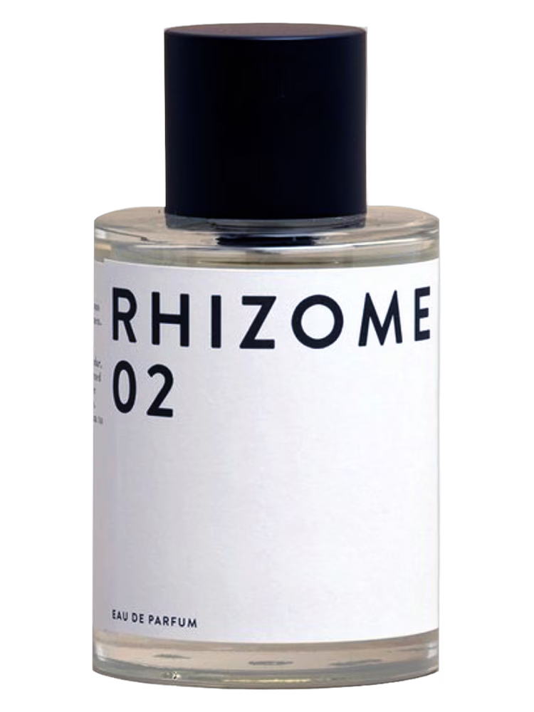 Rhizome Rhizome 02