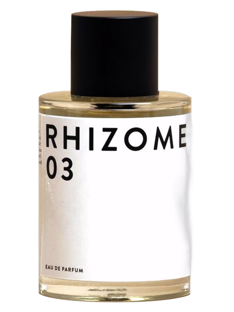 Rhizome Rhizome 03