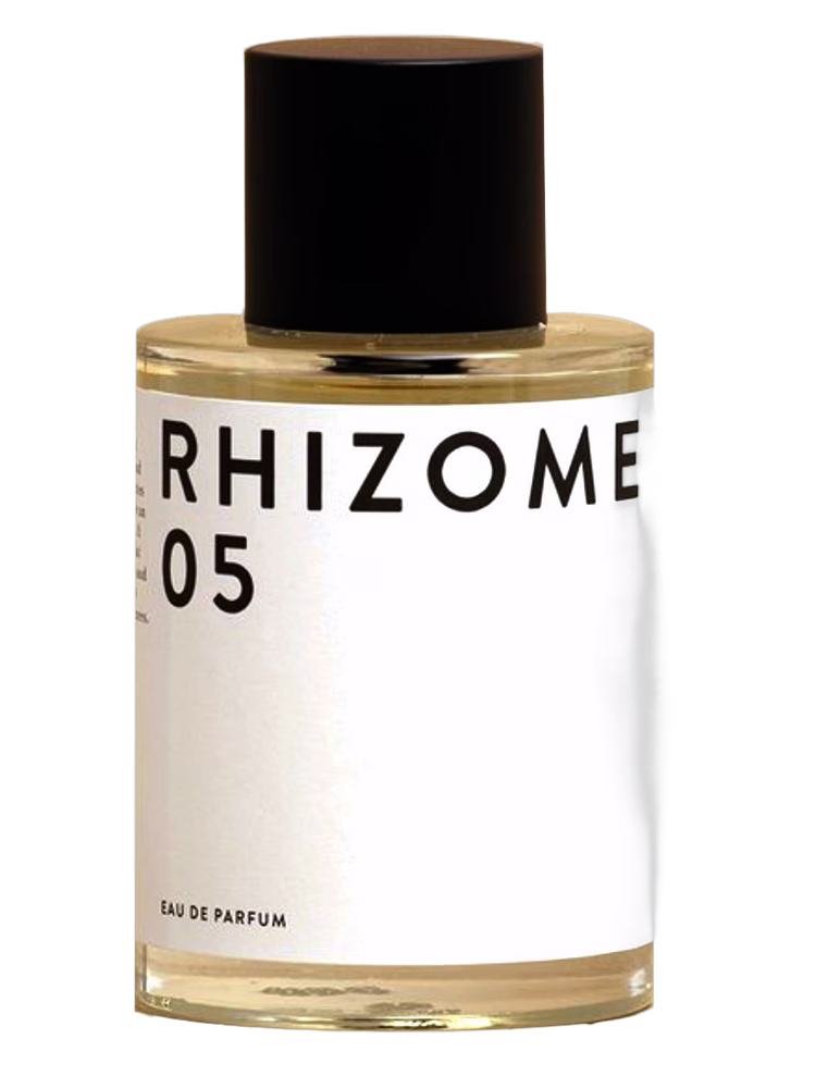 Rhizome Rhizome 05
