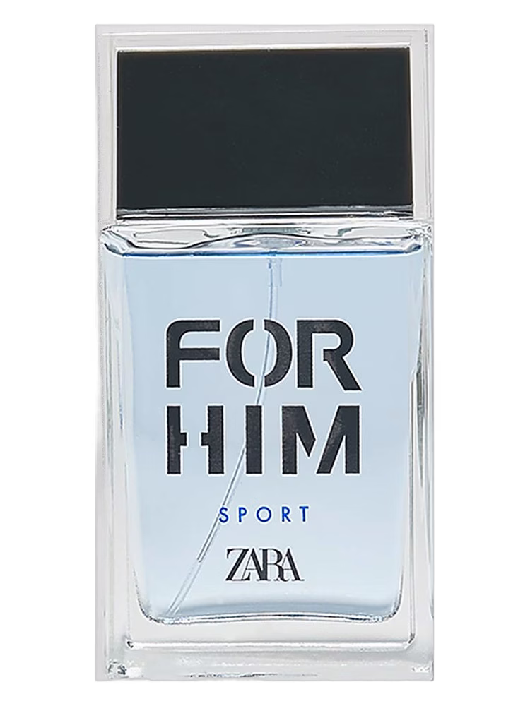 Zara For Him Silver Sport