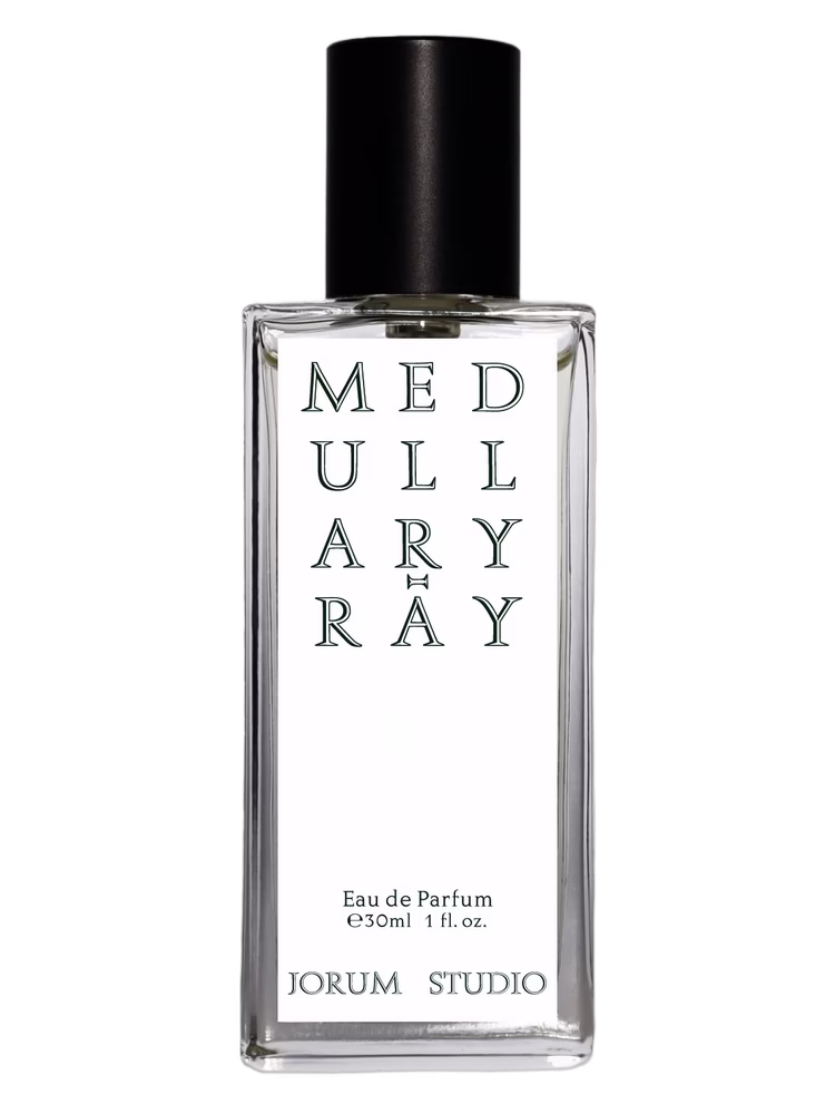 Jorum Studio Medullary-ray