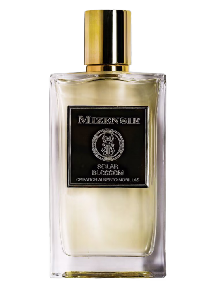 Mizensir Solar Blossom