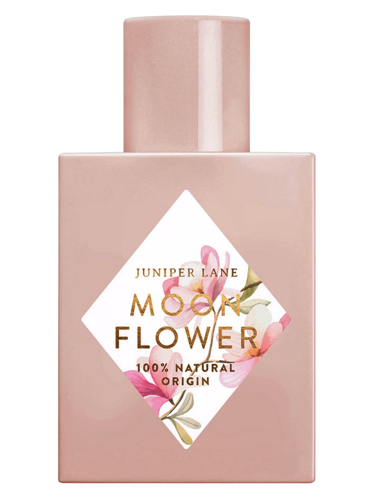 Nature Blossom Moon Flower