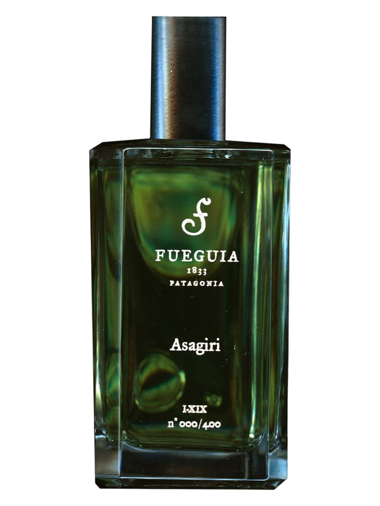 Fueguia 1833 Asagiri