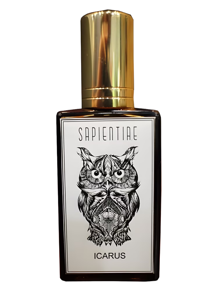 Sapientiae Niche Ícarus