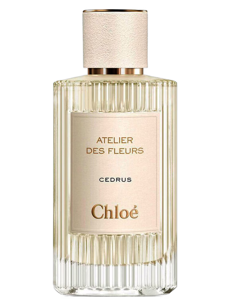 Chloé Cedrus