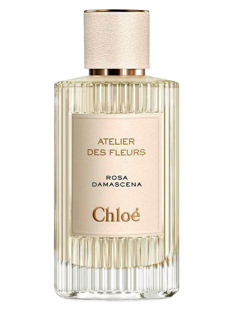 Chloé Rosa Damascena