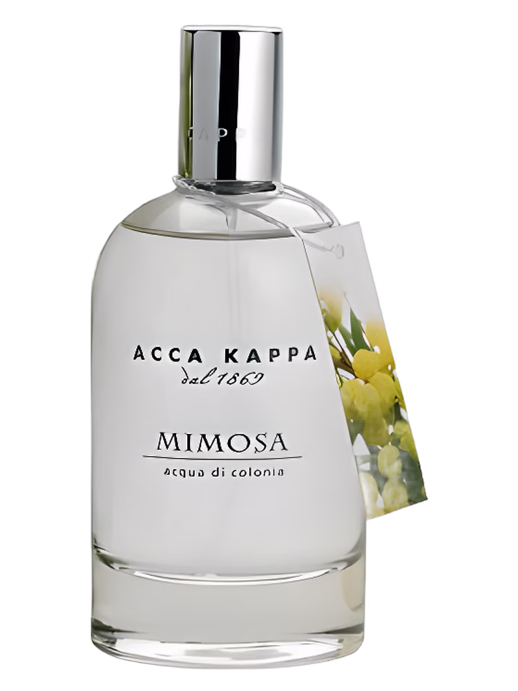 Acca Kappa Mimosa