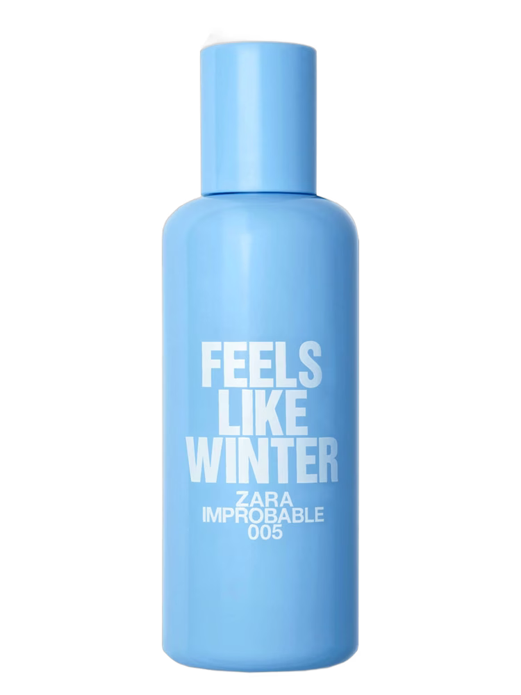 Zara 005 Feels Like Winter