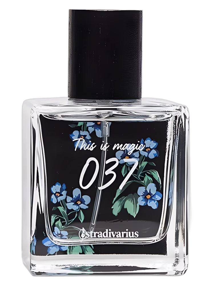 Stradivarius 037 This Is Magic