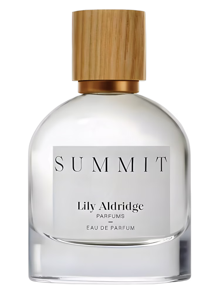 Lily Aldridge Summit